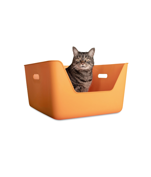 Cat Litter Box Orange