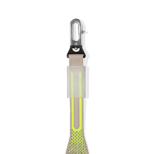 Gluten Nit Leash