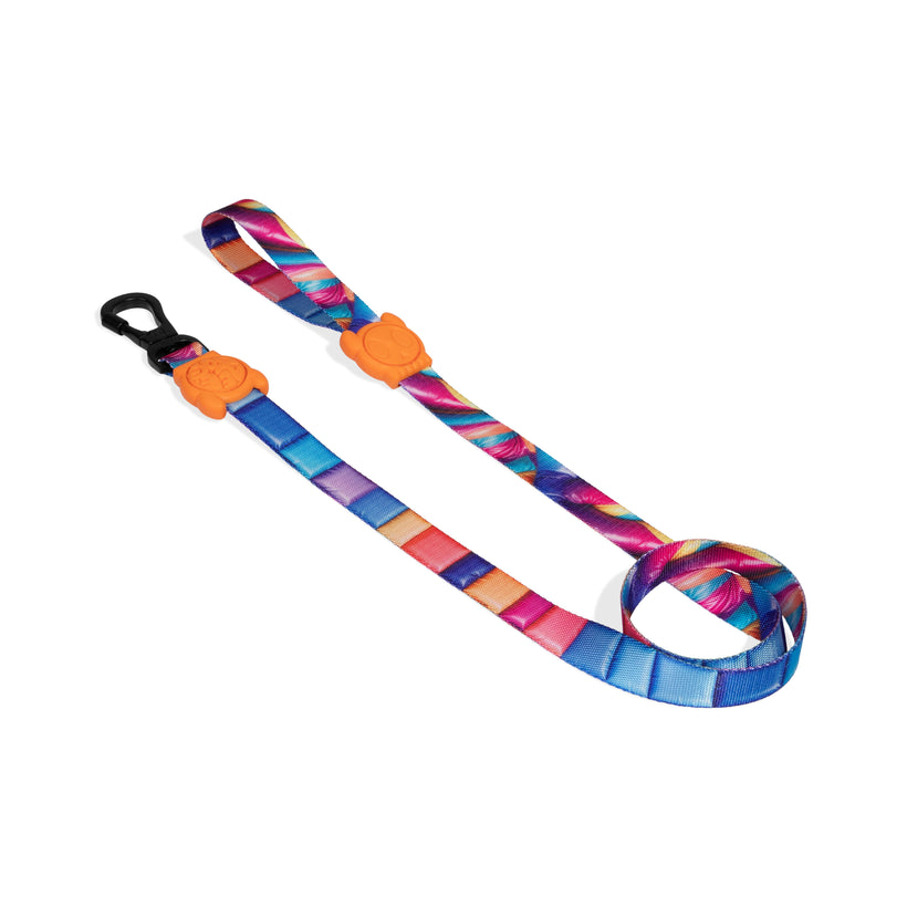 Large Leash