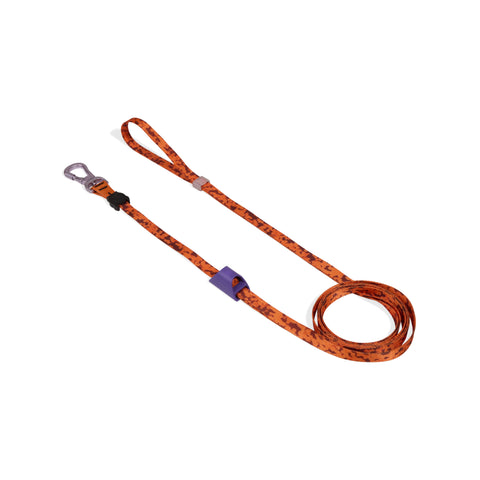 Long Leash Leopard