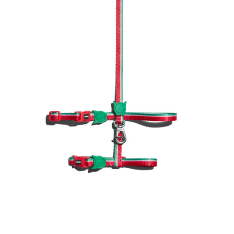Lola Harness + Leash Set