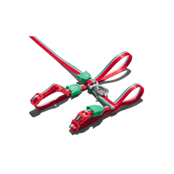Lola Harness + Leash Set