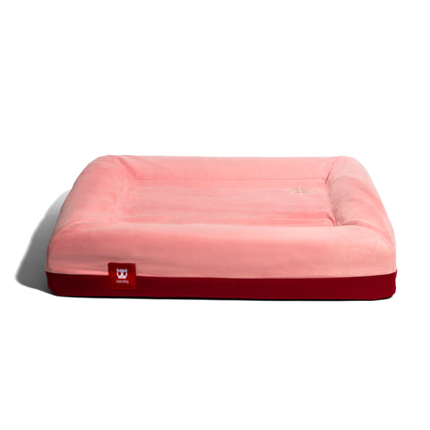 Zee.Bed Najima