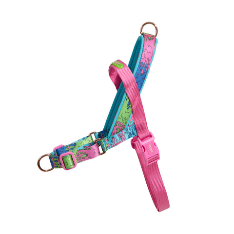 Lords Of Zee.Town Melted Softer Walk Harness
