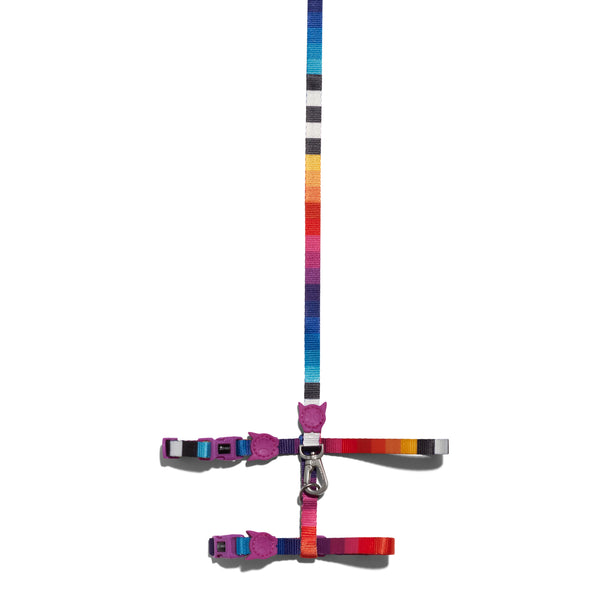 Prisma Harness + Leash Set