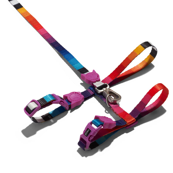 Prisma Harness + Leash Set