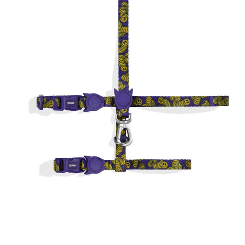 Lords Of Zee.Town Zmiley Harness + Leash Set