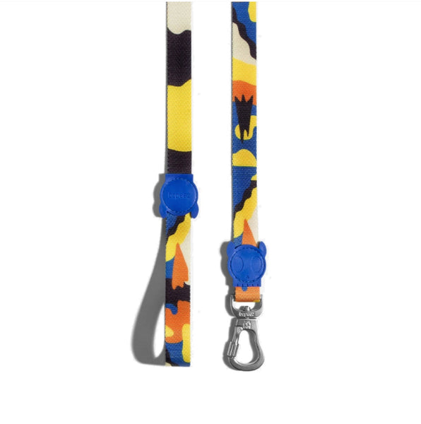 Artsy Leash