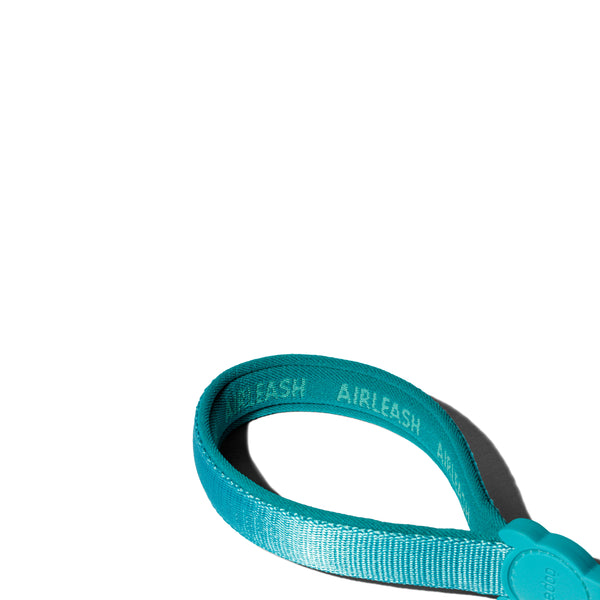 Blue Air-Leash
