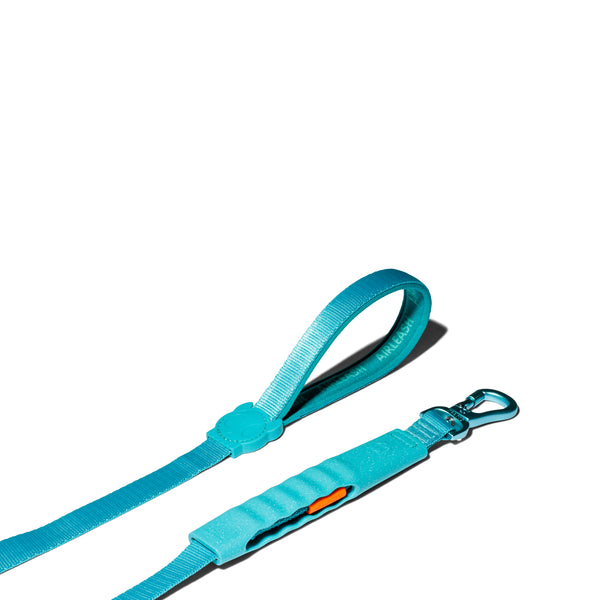 Blue Air-Leash