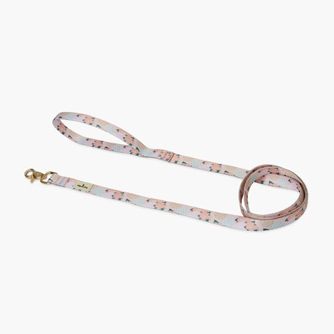 Botan Nylon Leash