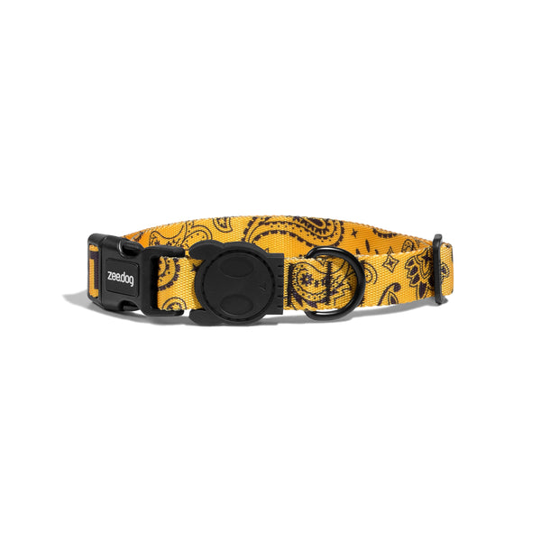 CTM Yellow Collar