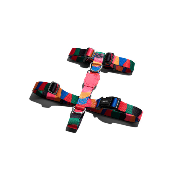 Chroma H-Harness