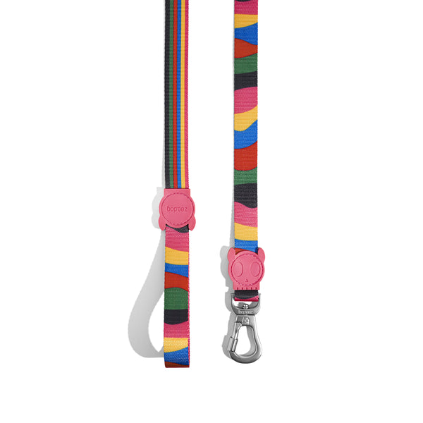 Chroma Leash