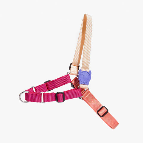 Cinnamon Soft-Walk Harness