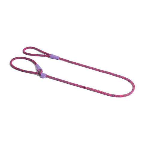 Cosmo Slip On Leash