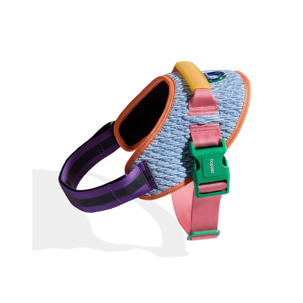 Galaxy Flyharness