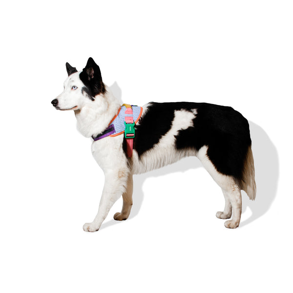 Galaxy Flyharness