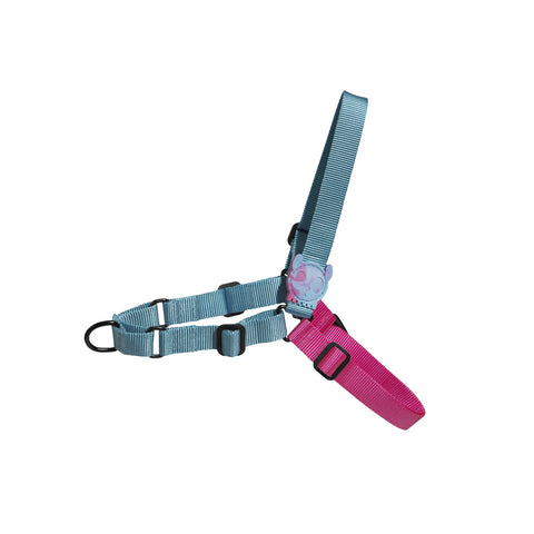 Hydra Soft-Walk