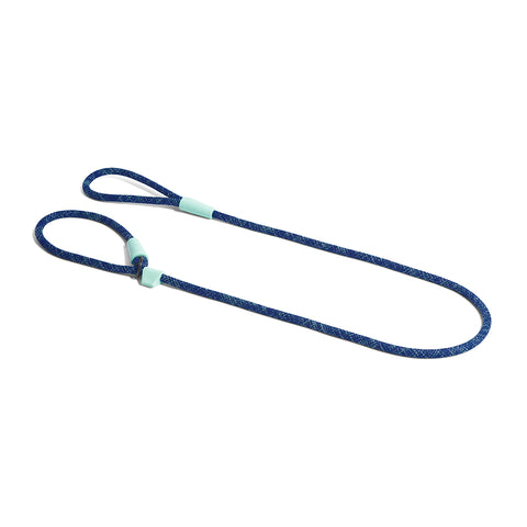 Indigo Slip On Leash