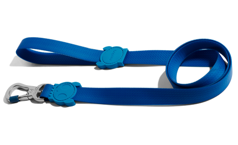 Neopro Blue Leash