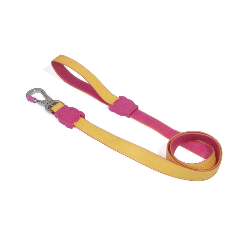 Neopro L leash