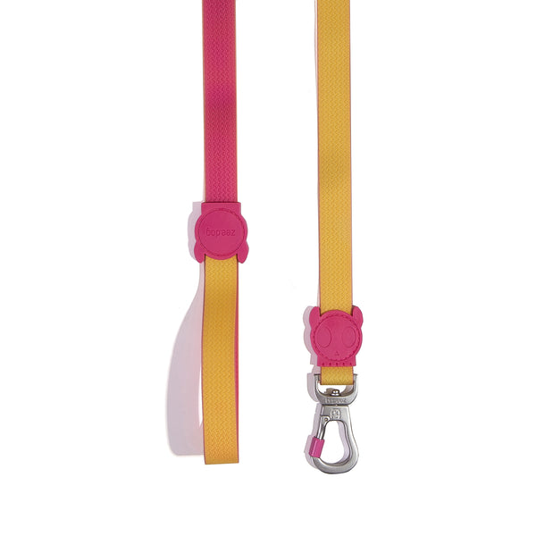 Neopro Lyra Leash