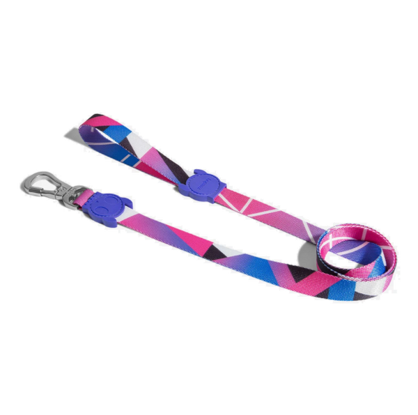 Midnight Leash