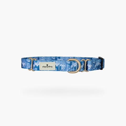 Nami Martingale Nylon Collar