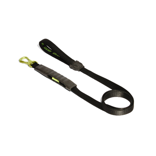 Neon Air Leash