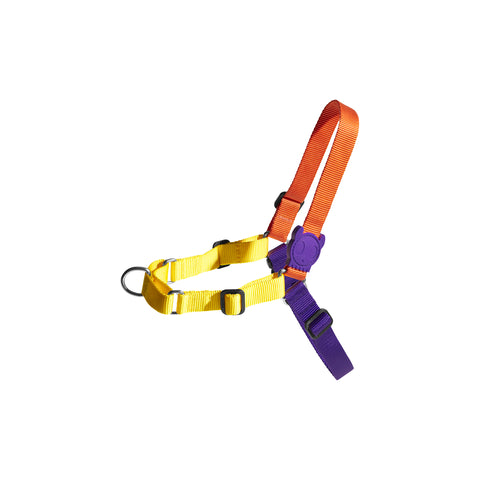 Pump Soft-Walk Harness