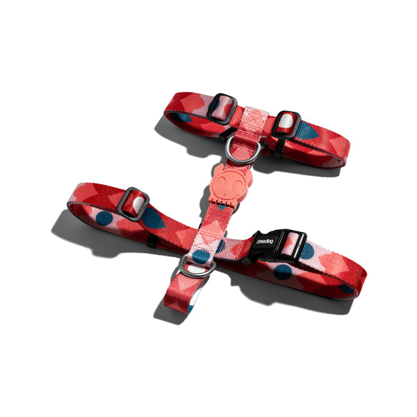 Same H-Harness
