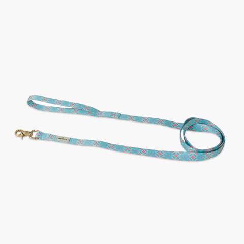 Straits Mint Nylon Leash