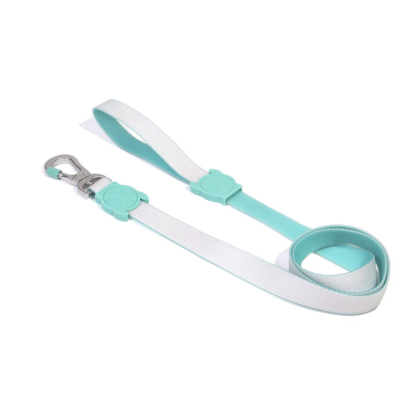 NeoPro Leash