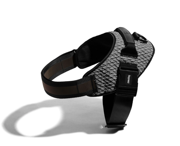 Urban FlyHarness