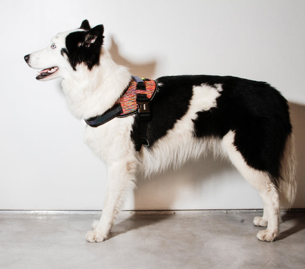 Vortex Flyharness