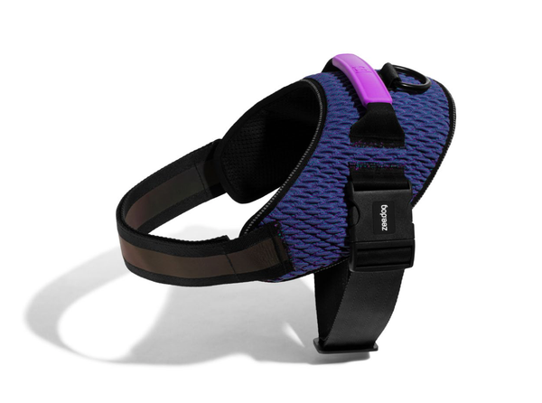 Wicked FlyHarness