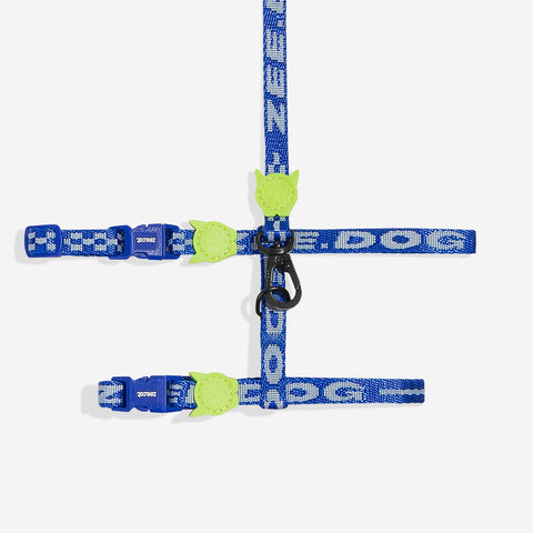 Astro Harness + Leash Set