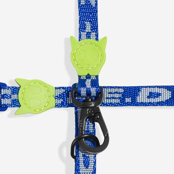 Astro Harness + Leash Set