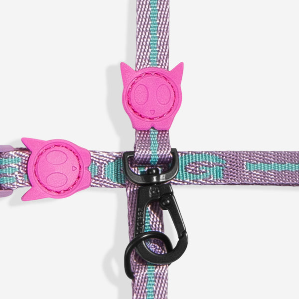 Aura Harness + Leash Set