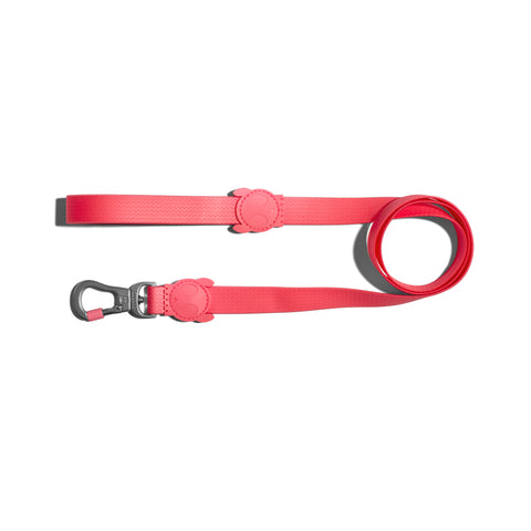 Neopro Bubblegum Leash