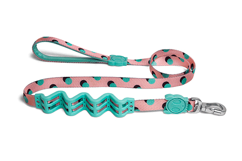 Polka Ruff Leash