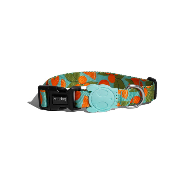 Florida Collar