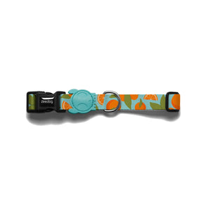 Florida Collar