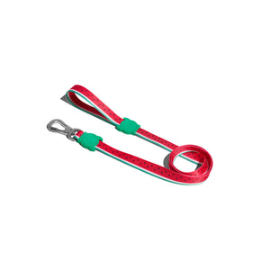 LOLA Leash