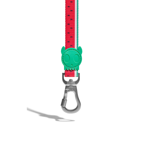 LOLA Leash