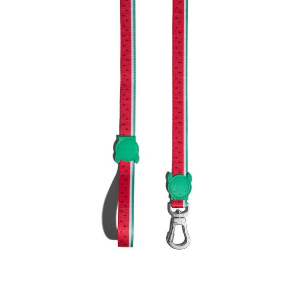 LOLA Leash