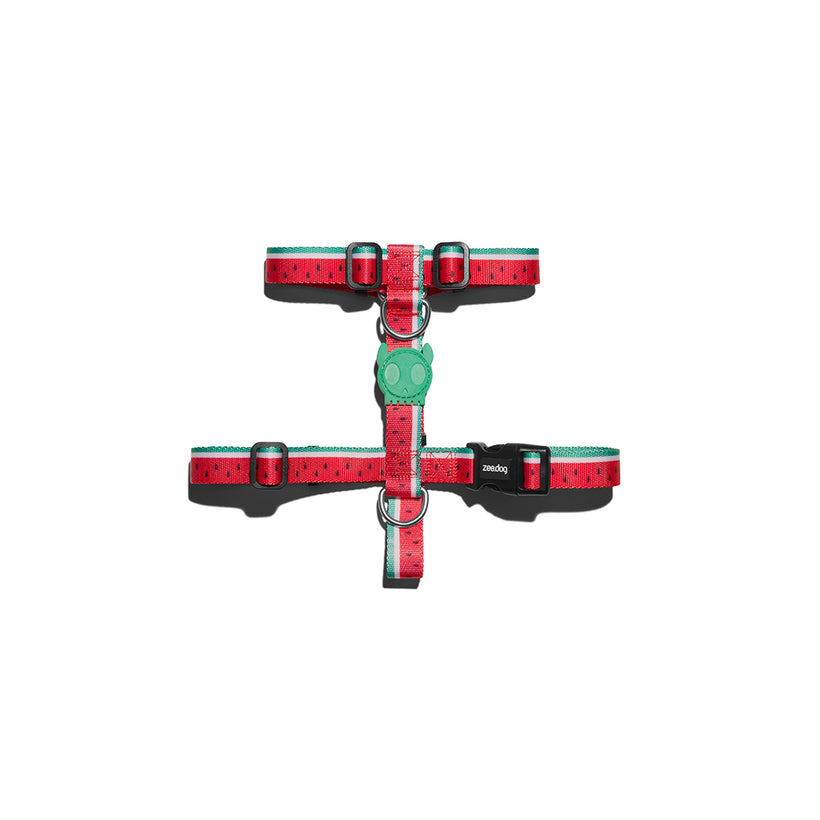 Medium H-Harness
