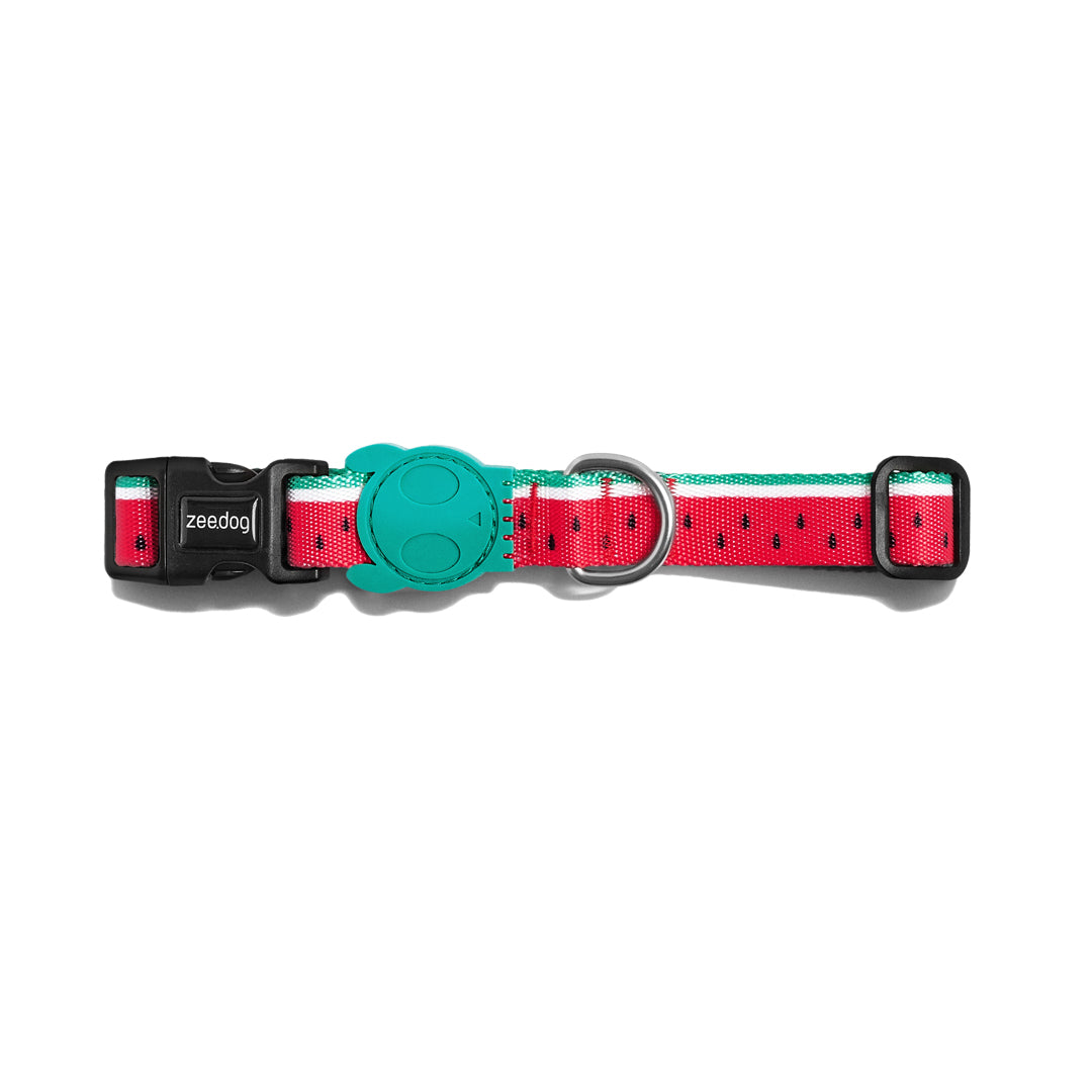 LOLA Collar