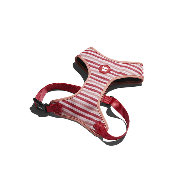 Peppermint Air Mesh Harness